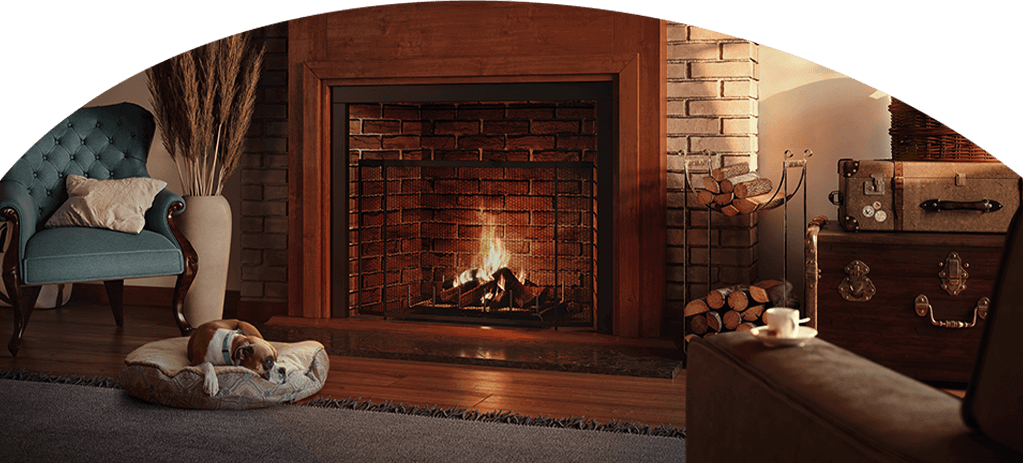 Living room with a dog lying in front of a fire