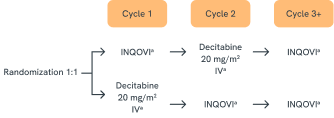 Graphic showing the randomized 1:1 crossover study design of the ASCERTAIN trial, which compared INQOVI and intravenous decitabine treatment sequences across multiple therapy cycles in patients receiving HMA therapy for MDS.
