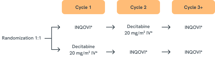 Graphic showing the randomized 1:1 crossover study design of the ASCERTAIN trial, which compared INQOVI and intravenous decitabine treatment sequences across multiple therapy cycles in patients receiving HMA therapy for MDS.