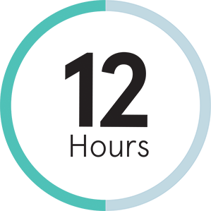 Icon of 12 hours