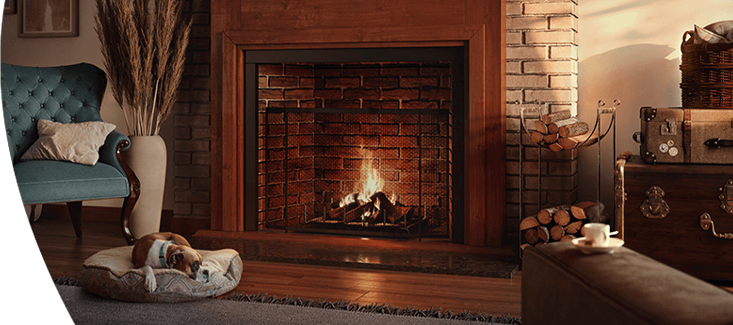 Living room with a dog lying in front of a fire