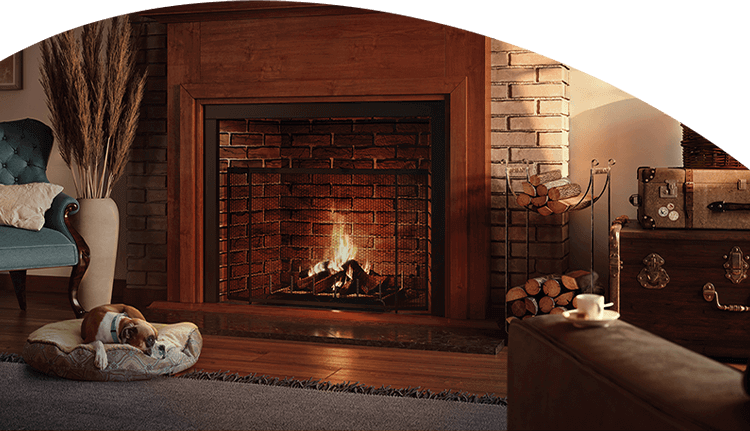 Living room with a dog lying in front of a fire